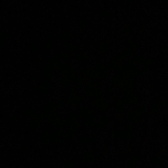 Meet your Posher, Dani - Picture 1 of 1